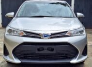 2019 Toyota Axio New Shape
