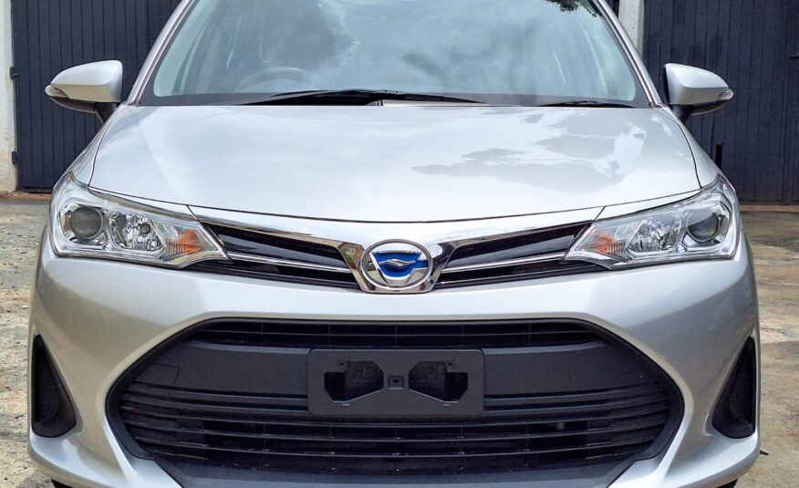 2019 Toyota Axio New Shape