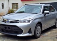 2019 Toyota Axio New Shape