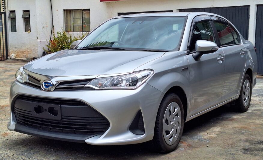 2019 Toyota Axio New Shape
