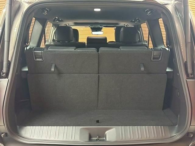 2024 TOYOTA LAND CRUISER 250 VX