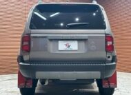 2024 TOYOTA LAND CRUISER 250 VX