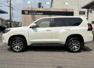 2019 TOYOTA LAND CRUISER PRADO TX L