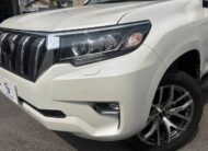 2019 TOYOTA LAND CRUISER PRADO TX L