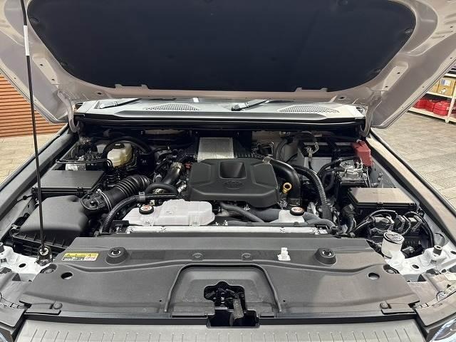 2024 TOYOTA LAND CRUISER 250 VX