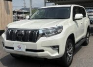 2019 TOYOTA LAND CRUISER PRADO TX L