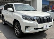 2019 TOYOTA LAND CRUISER PRADO TX L