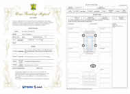 2024 Toyota Land Cruiser 250 ZX