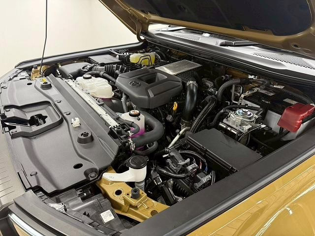 2024 Toyota Land Cruiser 250 ZX