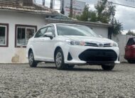 2019 Toyota Corolla Axio