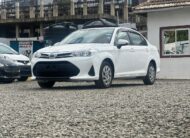 2019 Toyota Corolla Axio