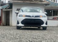 2019 Toyota Corolla Axio