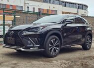 2018 Lexus NX300