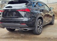 2018 Lexus NX300