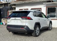 2019 Toyota RAV4 4WD
