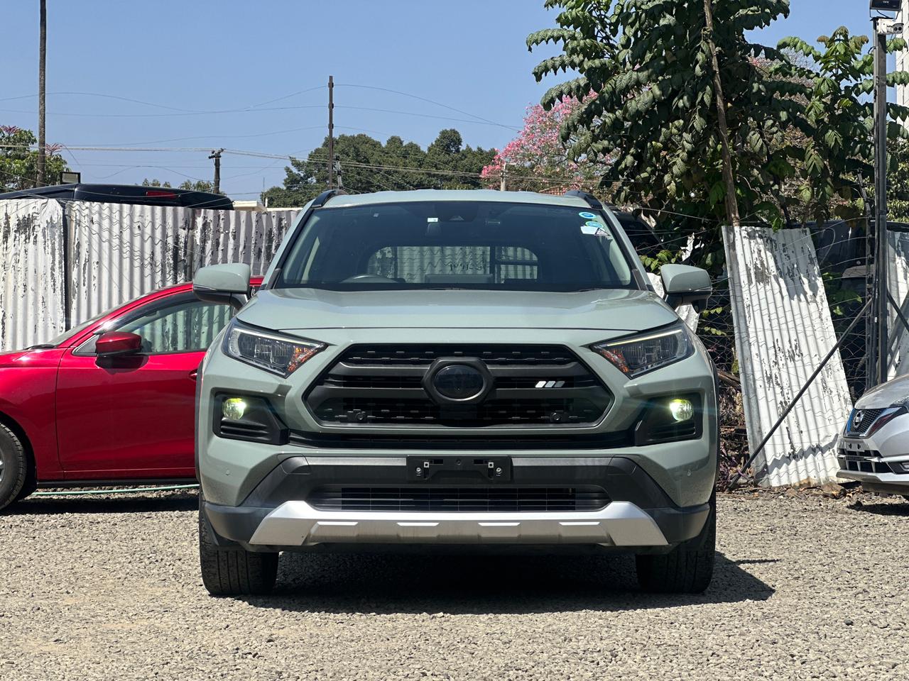 2019 Toyota RAV-4
