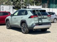 2019 Toyota RAV-4