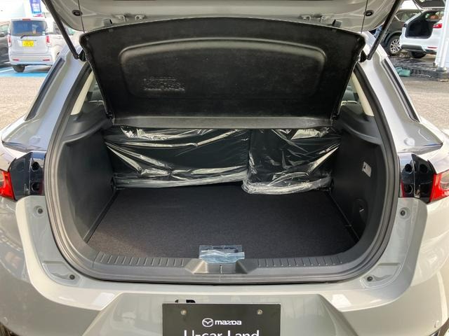 2025 Mazda CX3 15S Urban Dresser