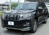 2019 Toyota Land Cruiser Prado TX L