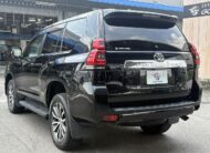 2019 Toyota Land Cruiser Prado TX L