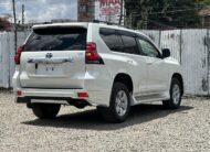 2019 Toyota Landcruiser Prado