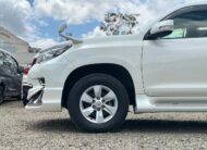 2019 Toyota Landcruiser Prado