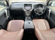 2019 Toyota Landcruiser Prado